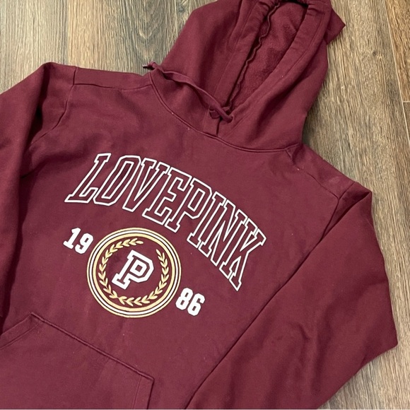 Victoria's Secret PINK HERITAGE LOGO 1986 CAMPUS PULLOVER HOODIE Women’s - Picture 3 of 9